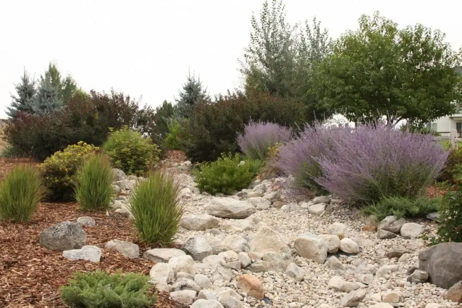 25 Inspiring Dry River Bed Landscaping Ideas in 2021 | Own The Yard