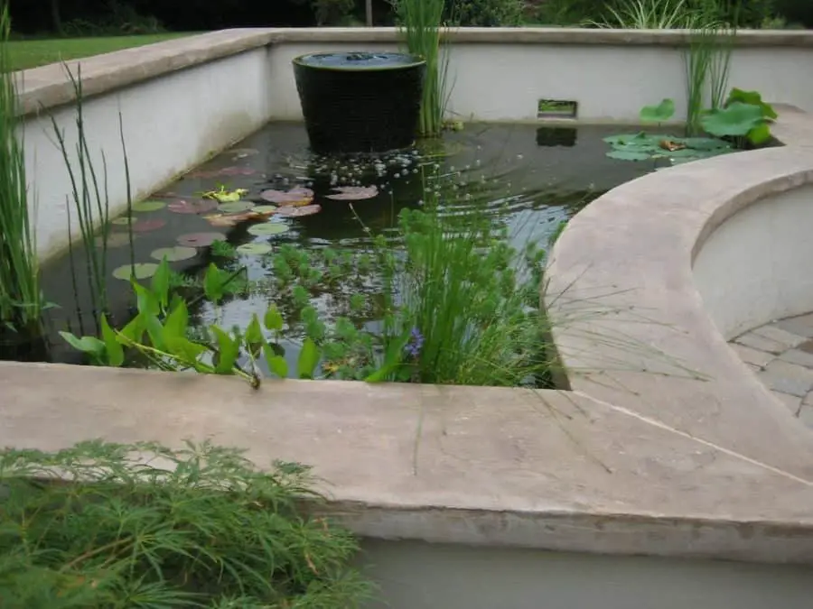 25 Inspiring Koi Pond Ideas for Your Backyard 2022: Own The Yard