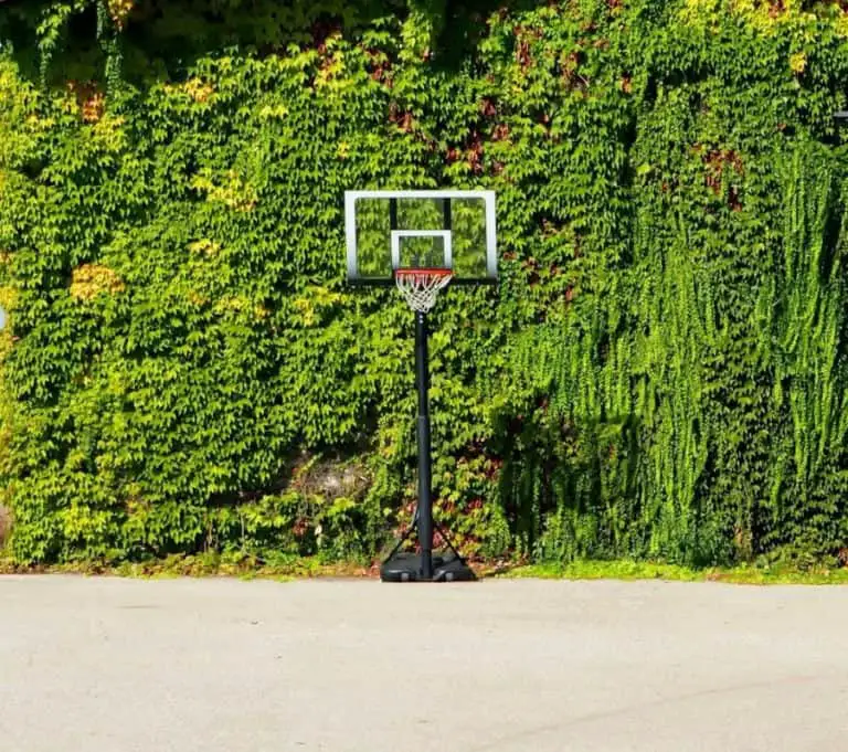 best portable basketball hoop