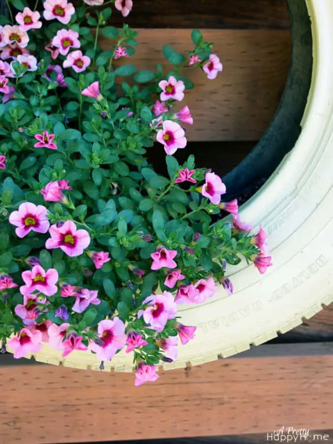 Tire Planter Ideas