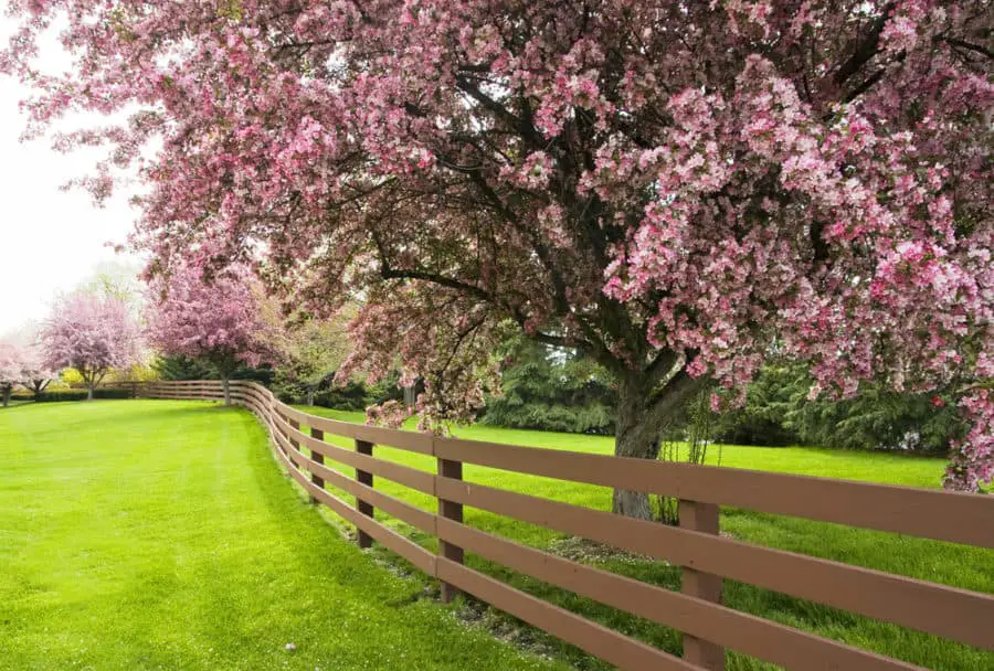 22 Amazing Garden Fence Ideas, Designs, and Pictures in 2020