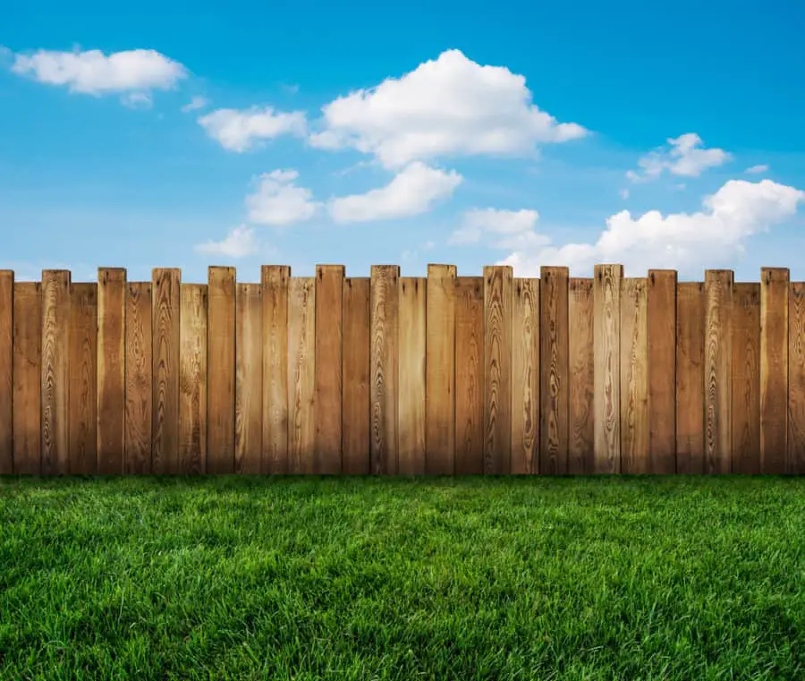 21 Best Wood Fence Ideas, Designs, Pictures in 2021 | Own The Yard