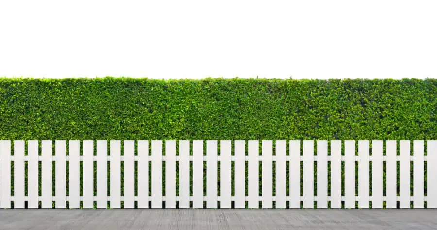 Best White Picket Fence Ideas, Designs, Pictures in 2021