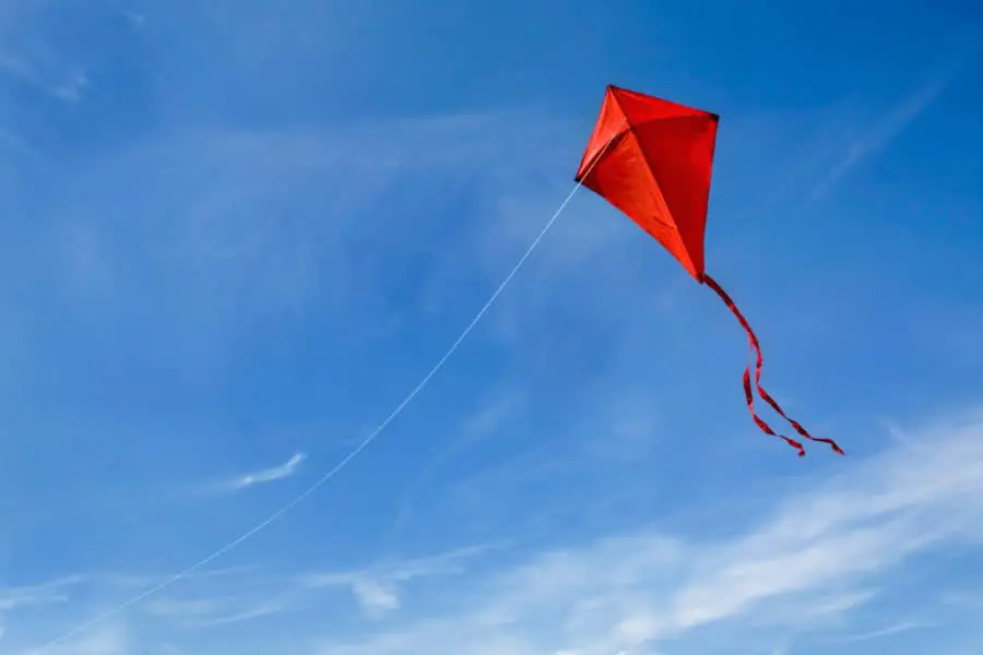 red-kite.jpg