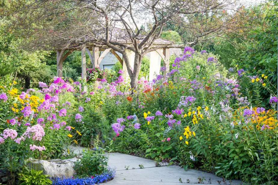 Backyard Privacy Ideas for Home and Garden (With Photos!) 2020