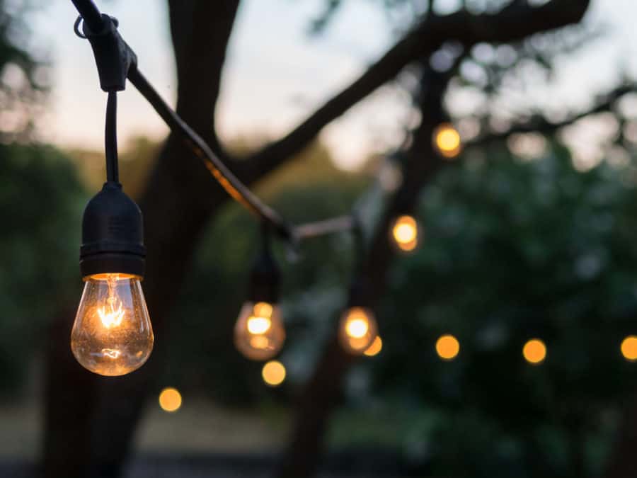 Rope Light Ideas with Pictures, Designs, and More for 2024: Own The Yard