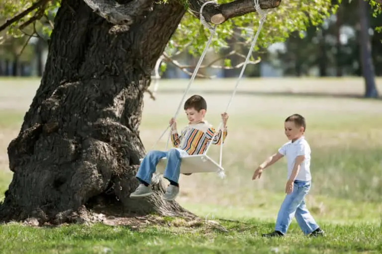 21 Best Tree Swing Ideas Images and Inspiration 2021 Own The Yard