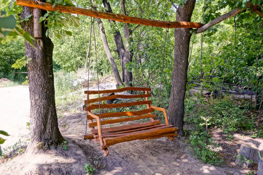 long tree swing. 