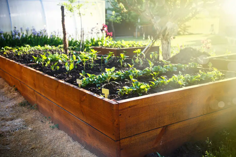 Raised Garden Ideas For A Lovely Home Over 30 Ideas 2020 Own