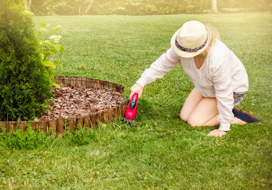 electric lawn shears