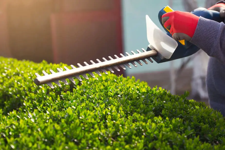 electric topiary trimmer