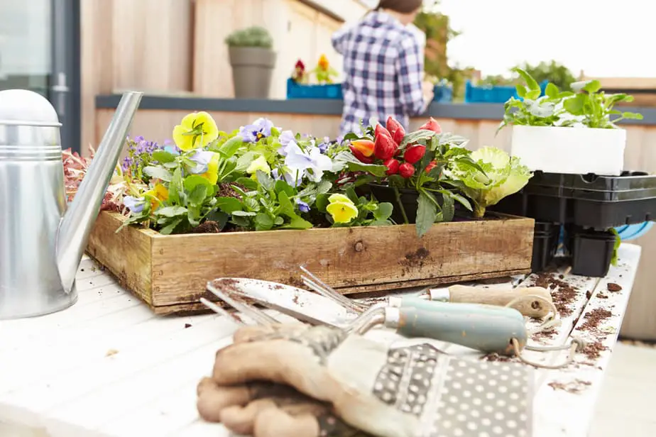 Best Rooftop Garden Ideas Urban Gardens Own The Yard