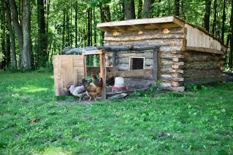 27 Best Chicken Coop Ideas for Cute Country Living 2020 Own The Yard