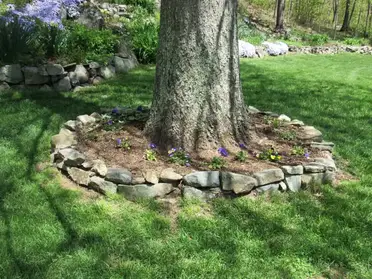 How To Landscape Around Trees For A, Landscaping Ideas Around Trees With Rocks