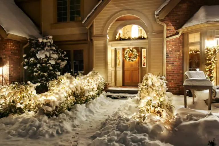winter-landscaping-ideas-pics-tips-tricks-more-2020-own-the-yard
