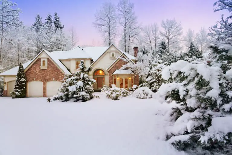 Winter Landscaping Ideas Pics, Tips, Tricks + More! 2024 Own The Yard