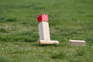 BBQ Party Games for Adults: 21 Entertaining Ideas! 2020: Own The Yard