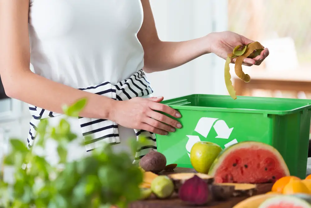 The Best Countertop Compost Bin For Diy Ers In 2020 Own The Yard