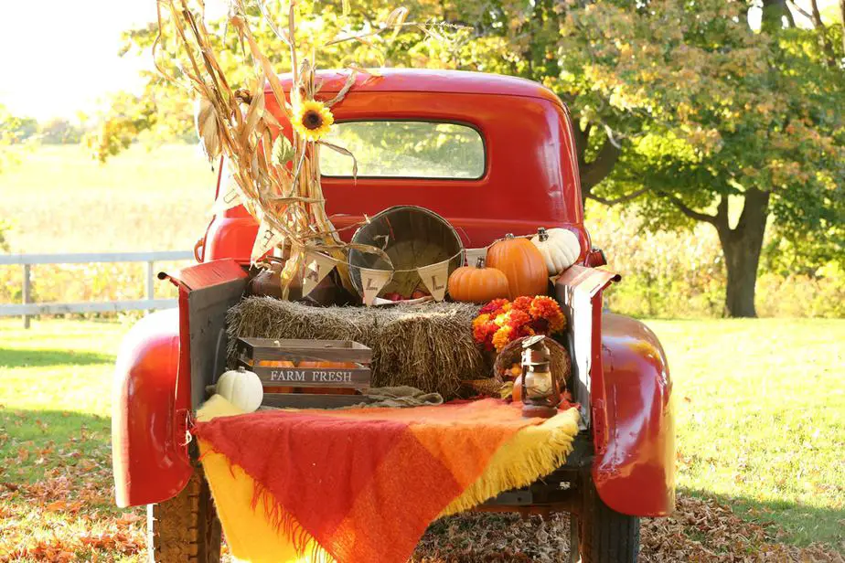 Fall Bucket List: 35 Splendid Ideas You'll Love 2022: Own The Yard