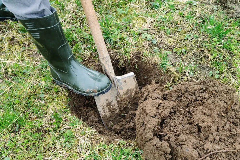 Deep Hole In Backyard