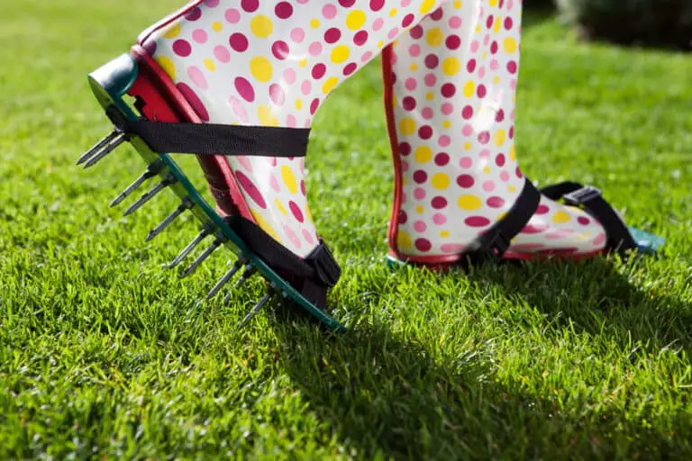 The Best Manual Lawn Aerator for Healthy Lawns 2024 Own The Yard