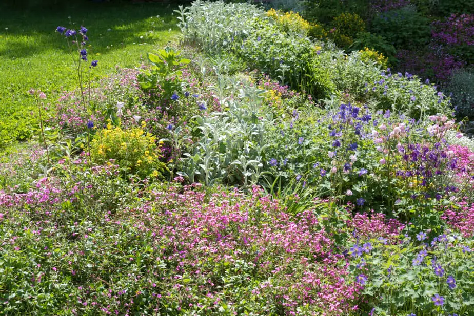 Plants For Steep Sloping Terrain Great, How To Landscape A Steep Slope On A Budget