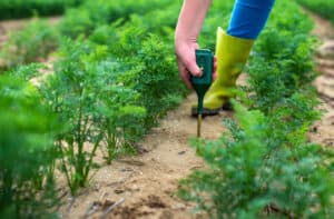 The Best Soil Test Kit for Green Thumbs 2026: Own The Yard