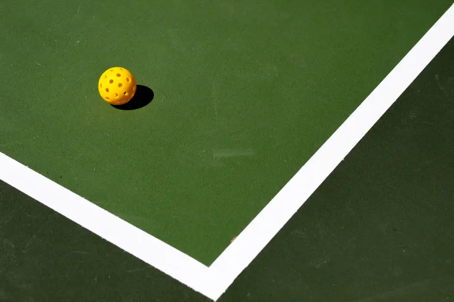 Pickleball the Game Why is it Called Pickleball? 2025 Own The Yard