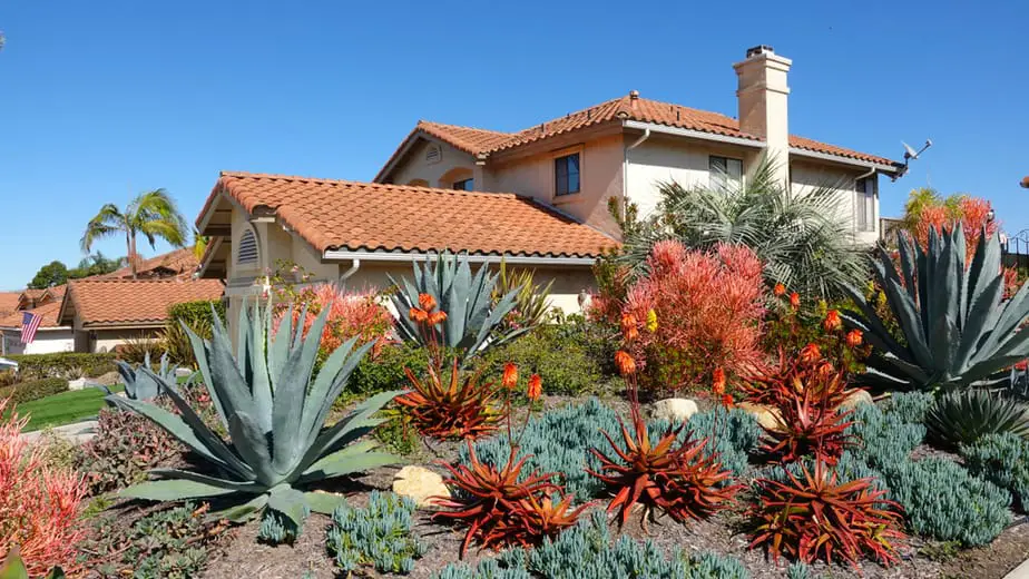 Front Yard Desert Landscape Design for a Beautiful Yard 2024