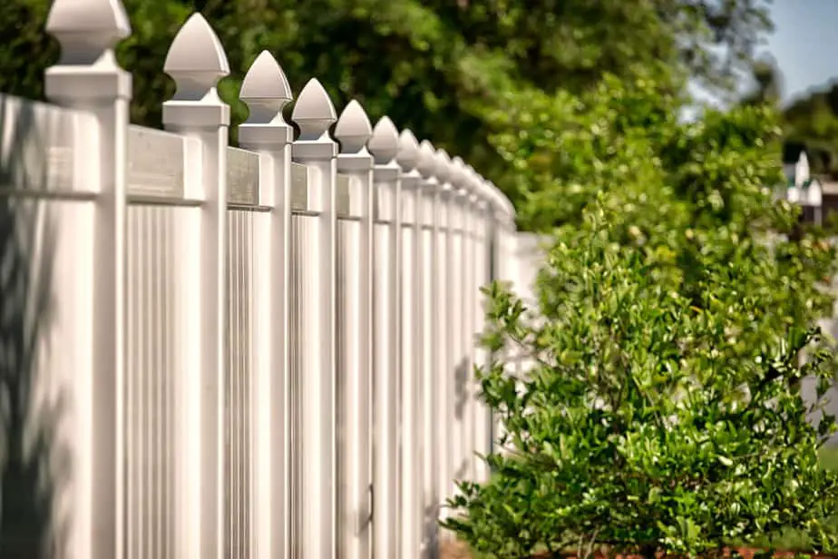 Grass Along Vinyl Fence